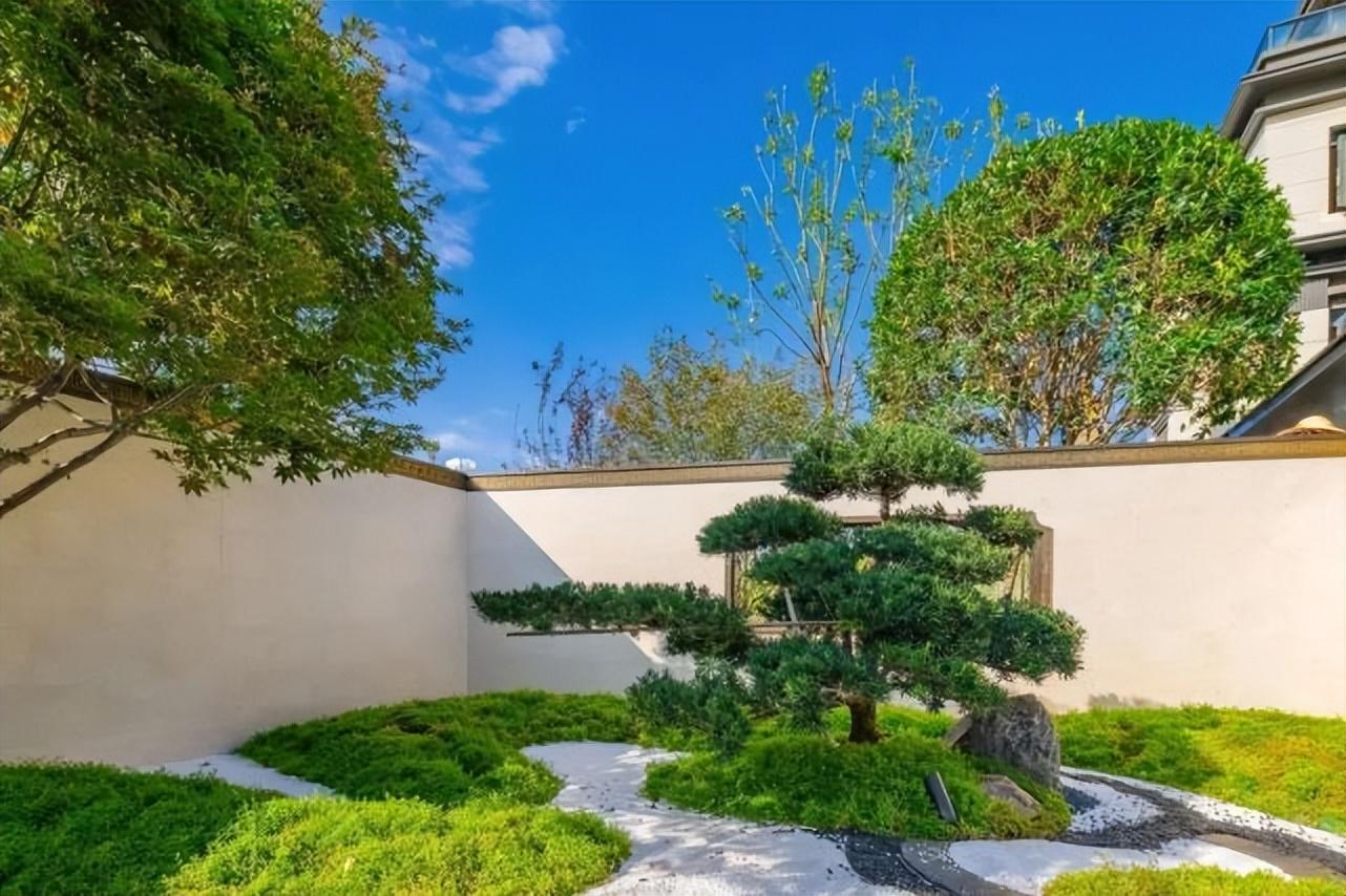 林冲是属什么生肖，奥秘解释落实