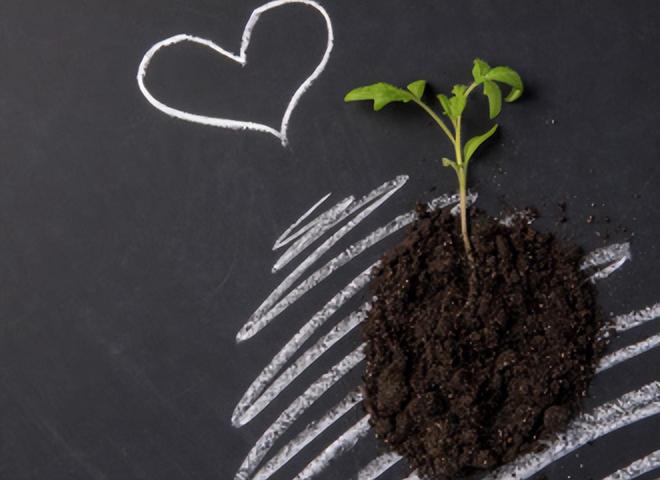 鸡头凤尾三缺一，一场误导解释的落实与反思