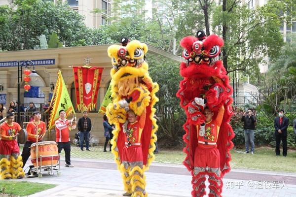 敲锣打鼓代表什么生肖，结论作答落实解释