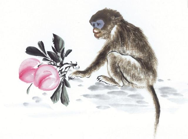 虎猴相会，揭秘生肖之谜