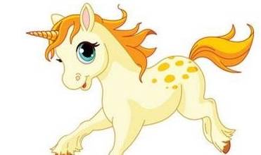 美丽动人的生肖，的精准解答与落实精神