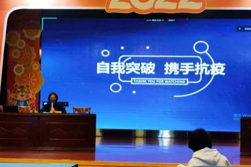 十二生肖谁是铁扇公主，精选解析与落实的详细结果