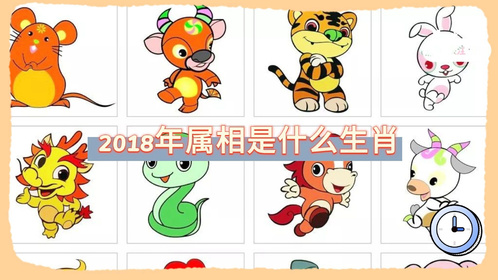 49属相，揭秘中国生肖的奥秘