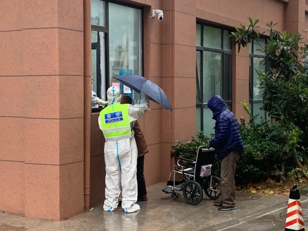 浪代表什么生肖，重点诠释解释落实