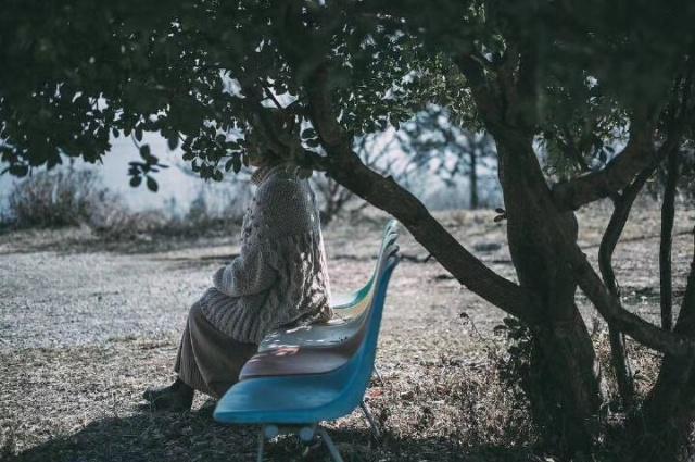 二三出巢三高翔猜一动物，中蕴含的哲理