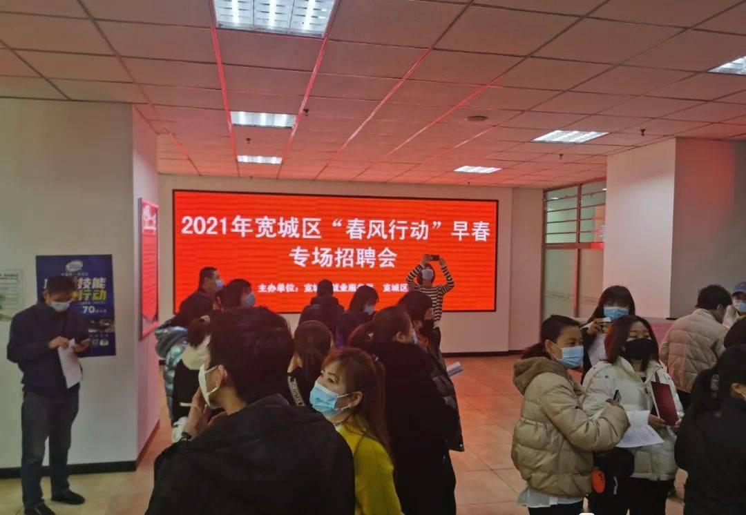 精准解析风肖及其生肖成员，落实精神下的文化探索