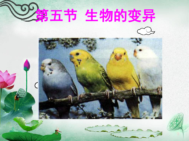 七手八脚猜一动物?绝佳解释落实