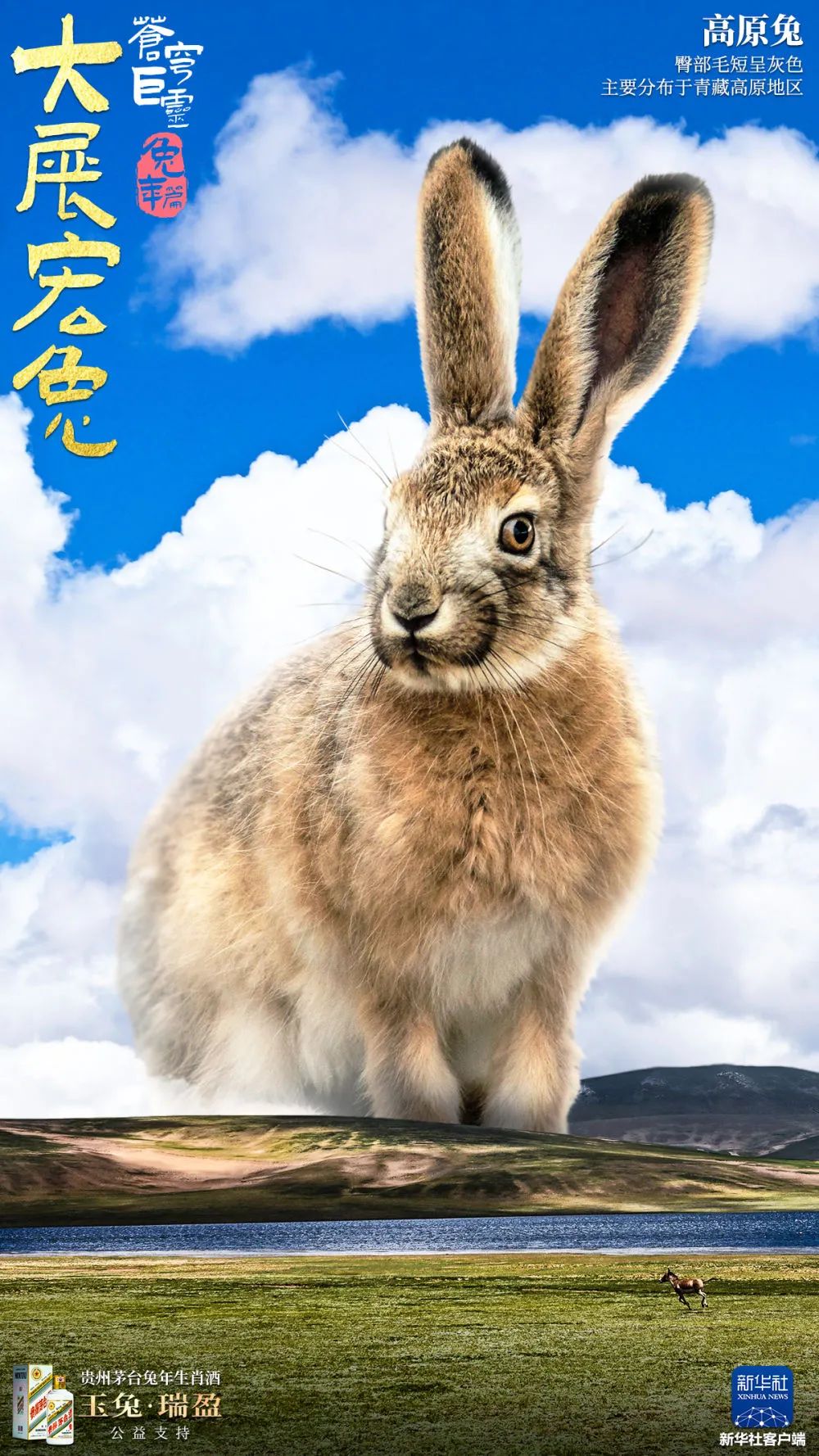 悠然自得的生肖，兔的文化寓意与精神解读