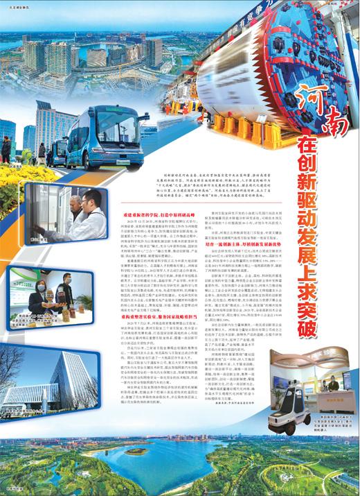 轰轰烈烈背后的生肖奥秘，新型作答与落实解释