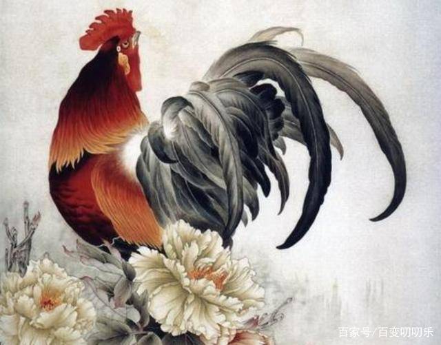 属鸡的三合生肖，词语的深层释义与文化解读