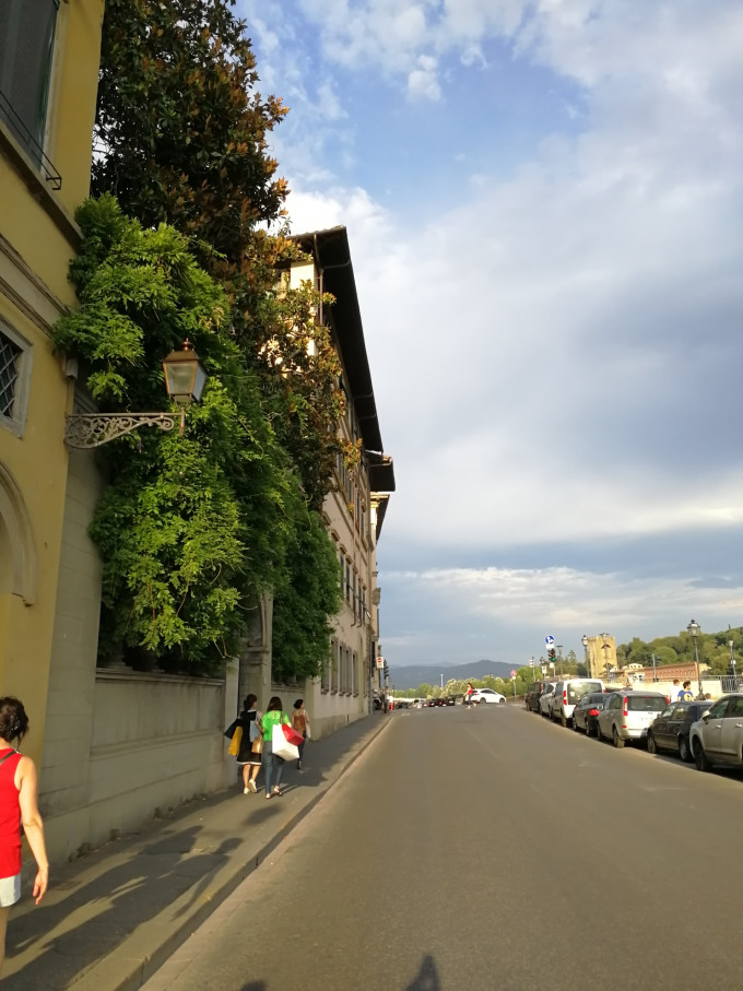 揭秘关羽的生肖之谜，历史与文化的深度碰撞