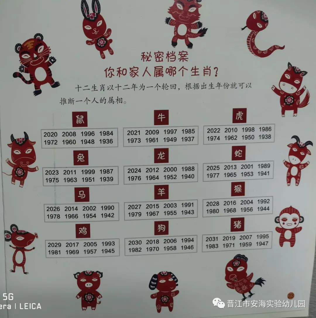 探索生肖的奥秘，按阴历还是阳历计算？