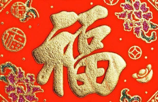 无忧无虑的生肖动物—兔子的生活哲学