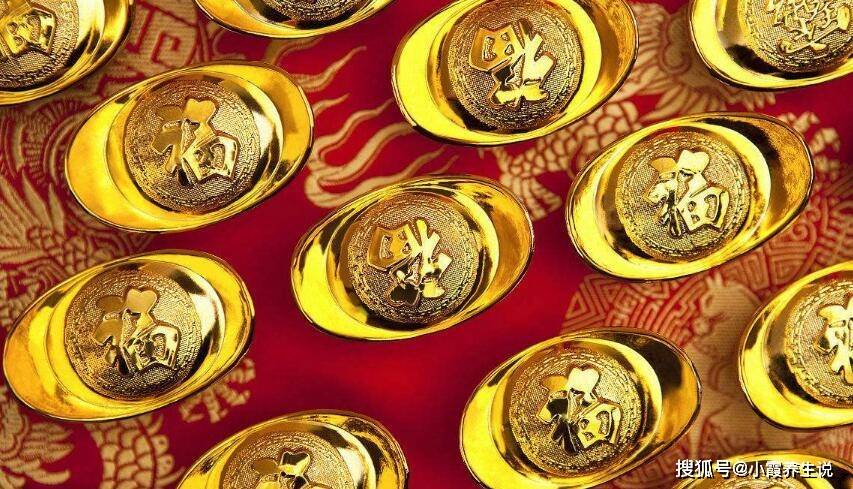 金钱的生肖之谜，深度解析与现实应用