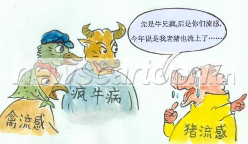 祸不单行猜一生肖,精选解析与落实的详细结果 祸不单行猜一生肖,精选解析与落实的详细结果