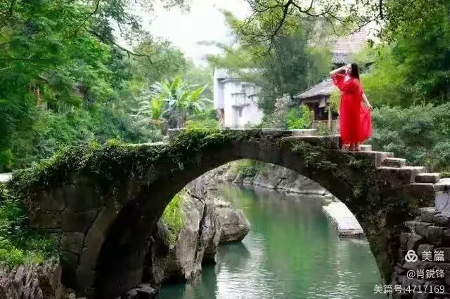 探秘小桥流水间的灵动身影—揭秘画中游之谜