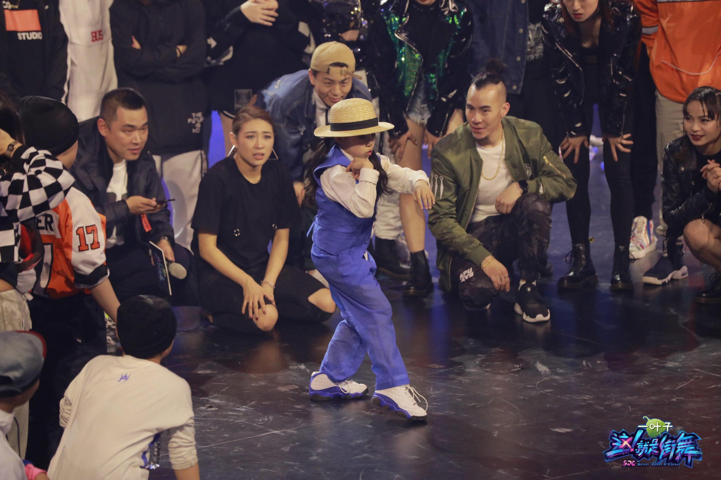 多情的生肖是什么，解释与落实的和谐共舞