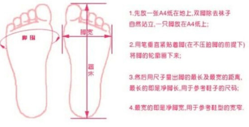 揭秘尖嘴码，生肖号码的神秘面纱