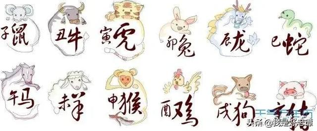 关于十二生肖的成语有哪些，友爱作答落实解释