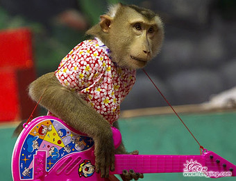 揭秘张卫健的生肖之谜，属猴的演艺巨星