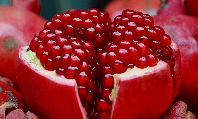 石榴代表什么生肖，热议作答落实解释