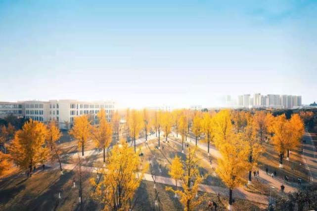 十二生肖，大属相的积极解读与人生转变