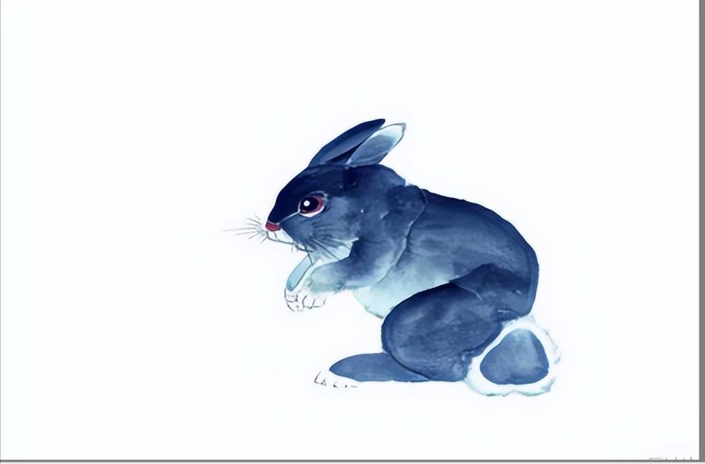 生肖属蛇今日运势，友爱作答落实解释