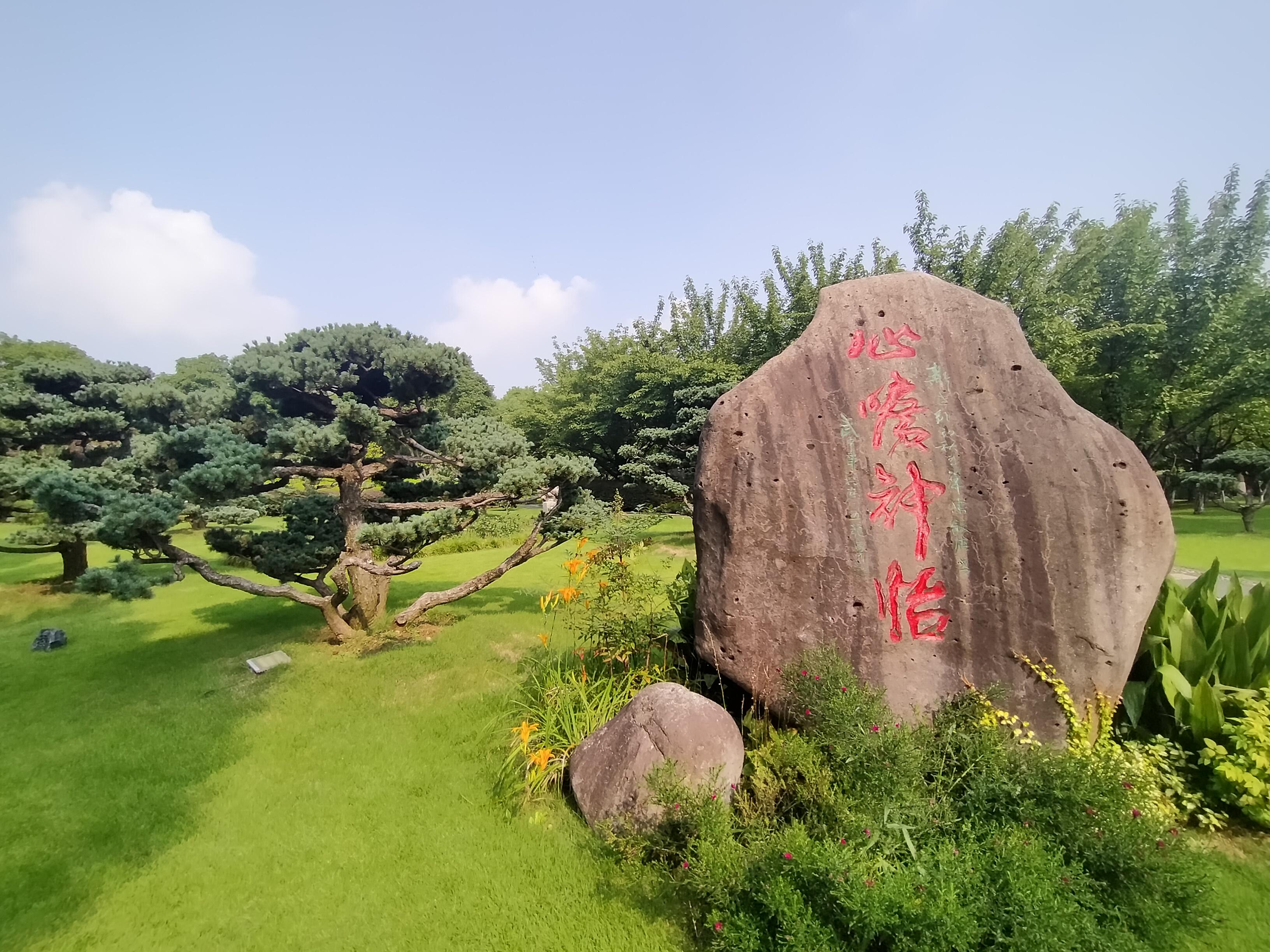 满而不溢，生肖之谜的深度解析