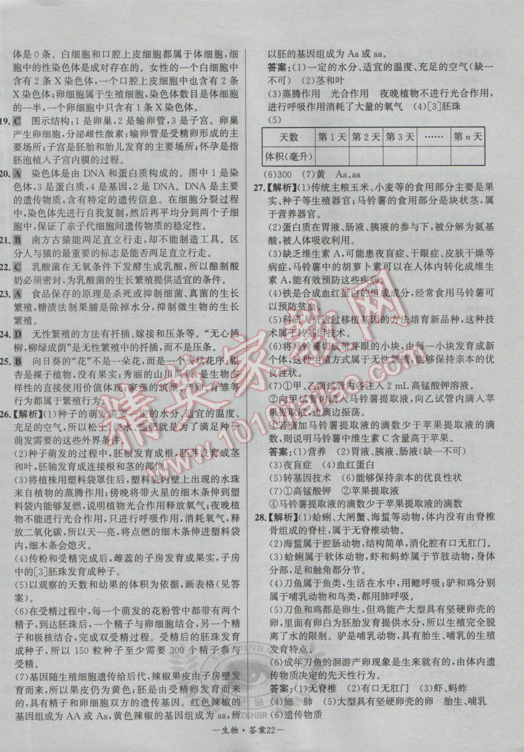 孙权属什么生肖，精选解析与详细结果