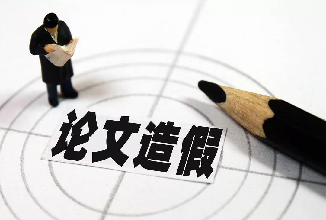 猪年之后，生肖轮回与社会进步的文化解析