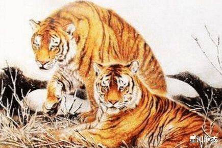 默默无闻打一生肖,成就解释落实 默默无闻打一生肖,成就解释落实