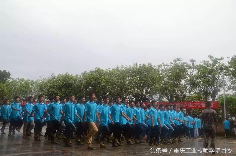 志气昂然，揭秘生肖中的不屈之魂