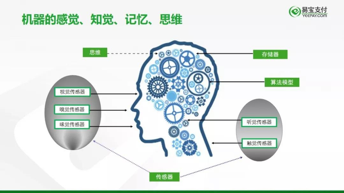 滚瓜烂熟打一正确生肖，深度解析与智慧思考