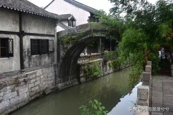 梦里水乡猜一生肖，详细作答落实解释