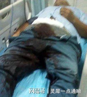 命根子打一生肖，正确解释与落实