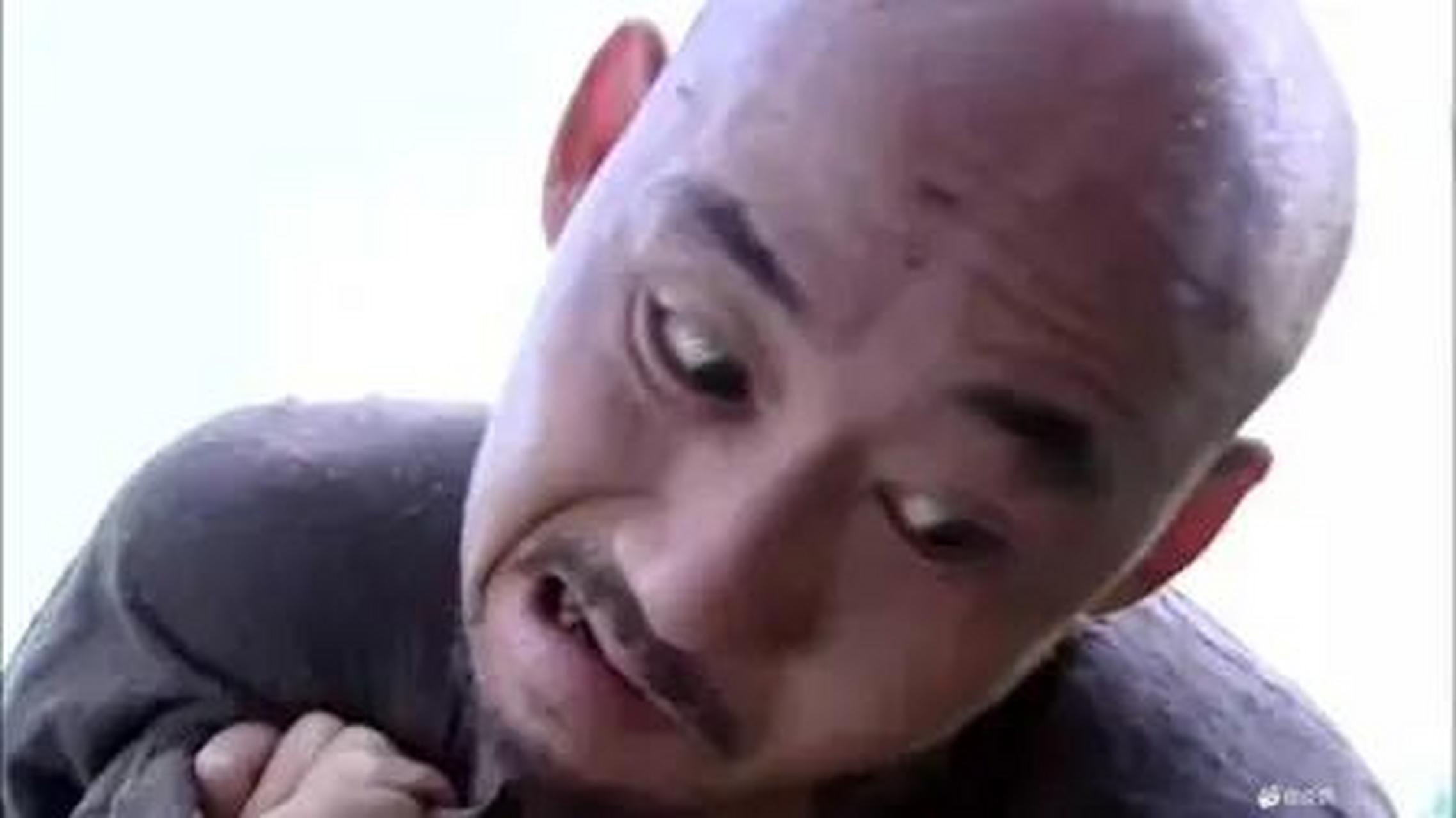 歪嘴和尚猜一动物，寓言背后的智慧与启示