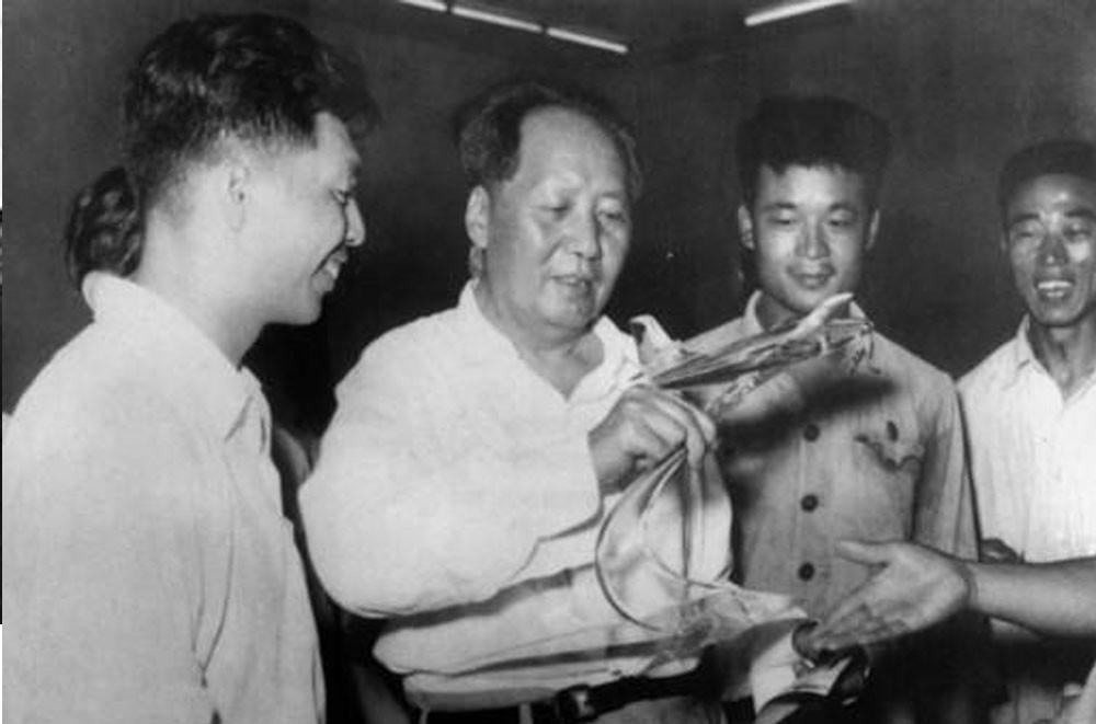 兵贵神速是指什么生肖?一场误导解释的落实与反思