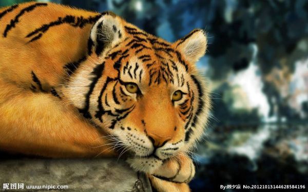 金榜题名打一生肖，友爱作答落实解释