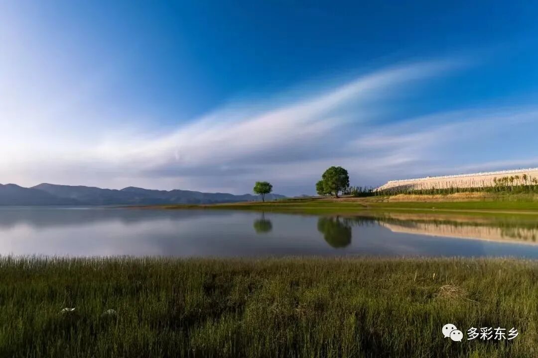 吉气东来家乡美，生肖之谜待揭晓