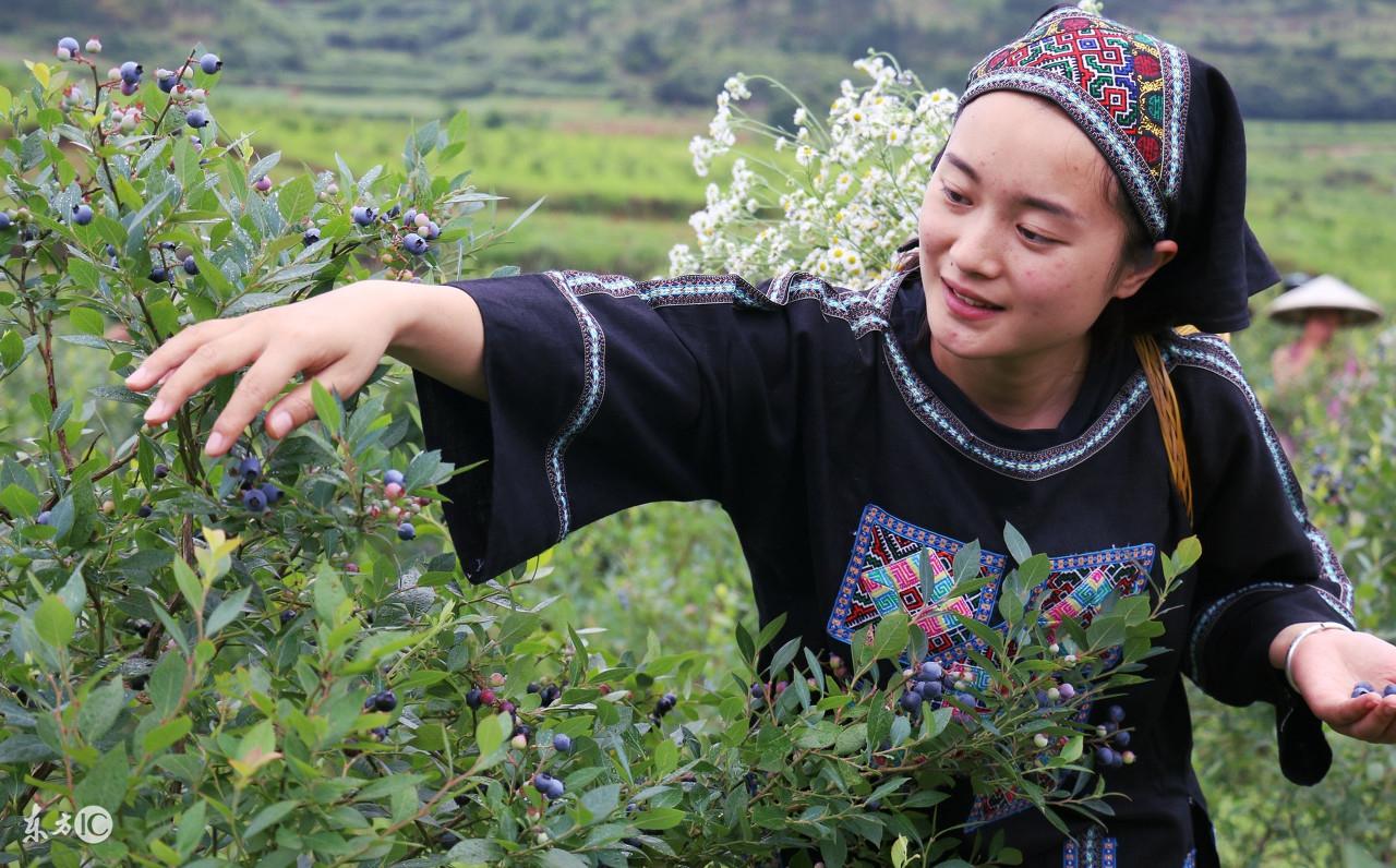 非常运势生肖网，真相解释落实
