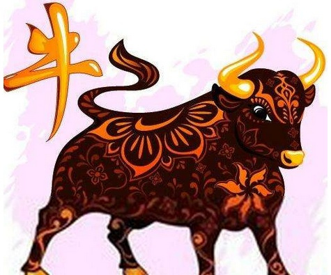 深度解析与智慧思考，七上八落心不安与生肖之谜