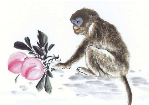 尖嘴猴腮猜一最佳生肖，经典解释作答落实