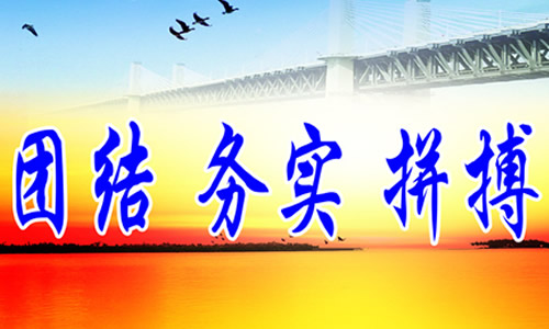 团结的力量，从盛气凌人到落实的动物启示