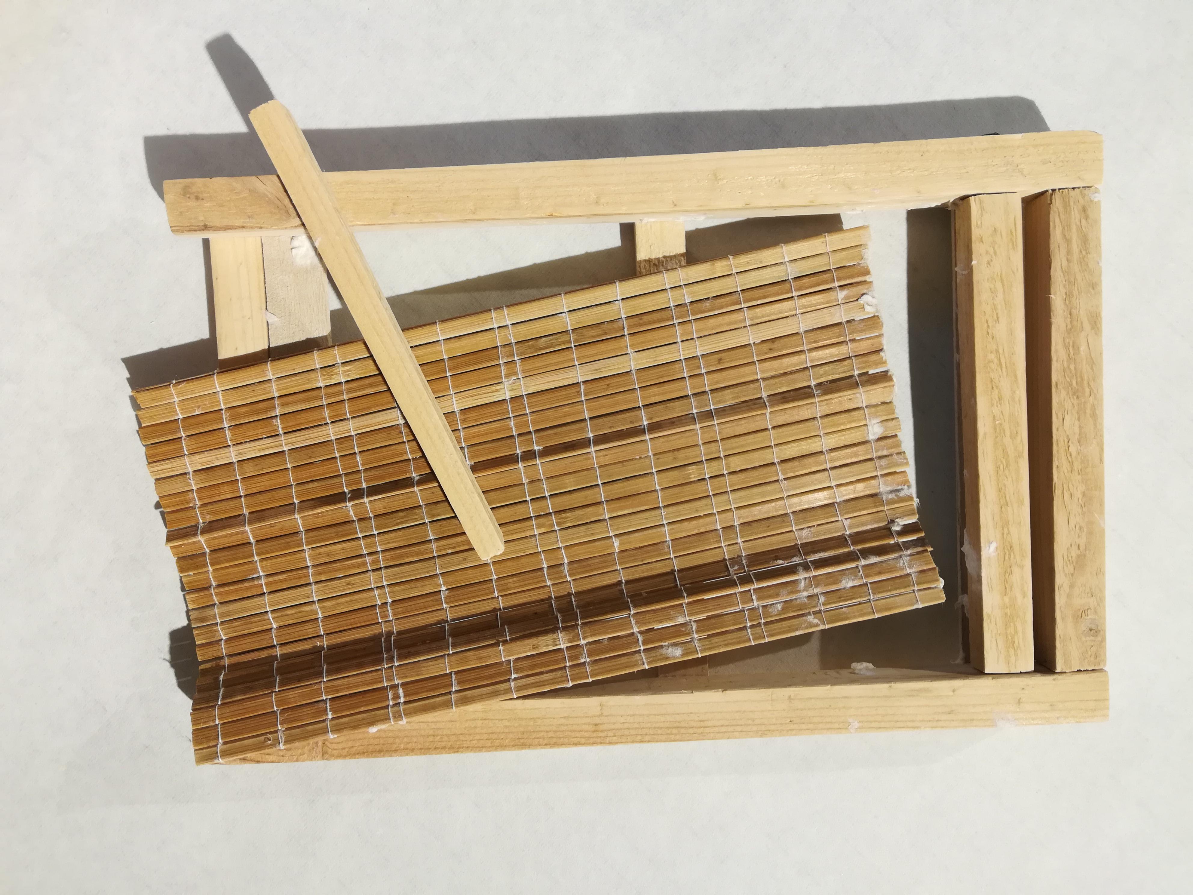 一息尚存是指什么生肖，深度解析与智慧思考