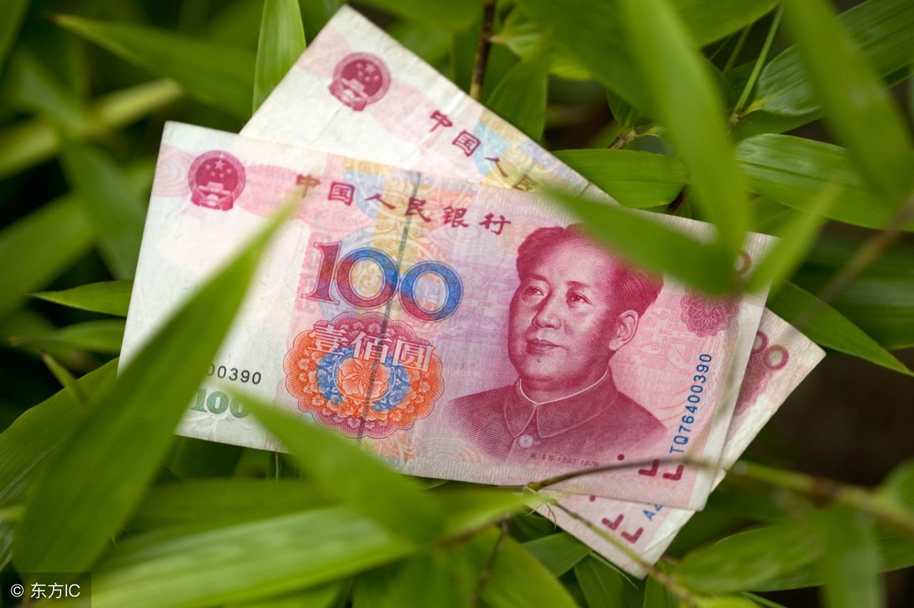 胆小生肖的奥秘，揭秘属鼠者的内心世界