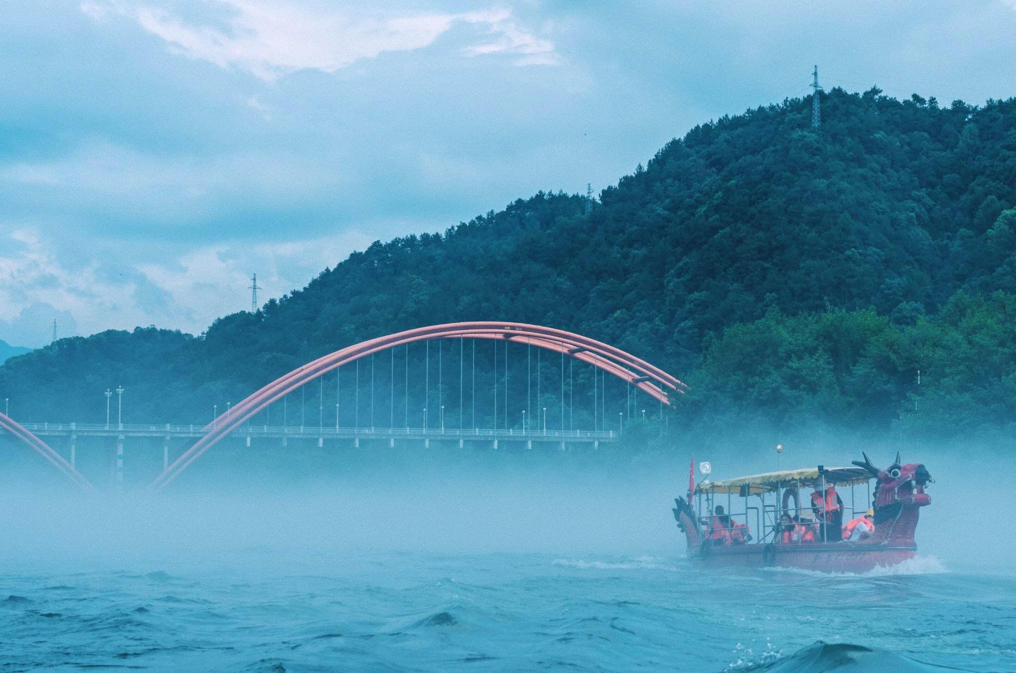 腾云驾雾，猜一动物与人生哲理的深度解析