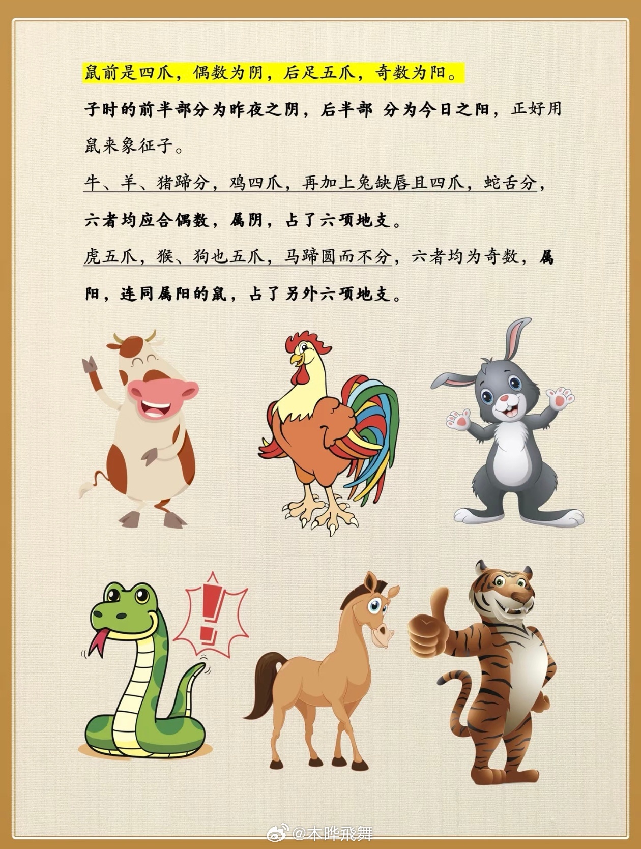 碧波荡漾猜一生肖，探寻生肖之谜的奥秘