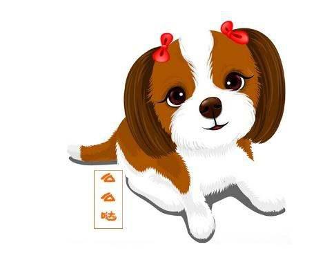 十二生肖中，狗与哪些生肖最相配？专业解析来啦！