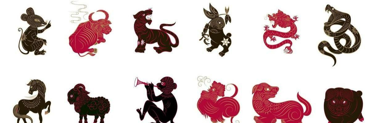 女肖之谜，揭秘中国传统文化中的女性生肖及其成就