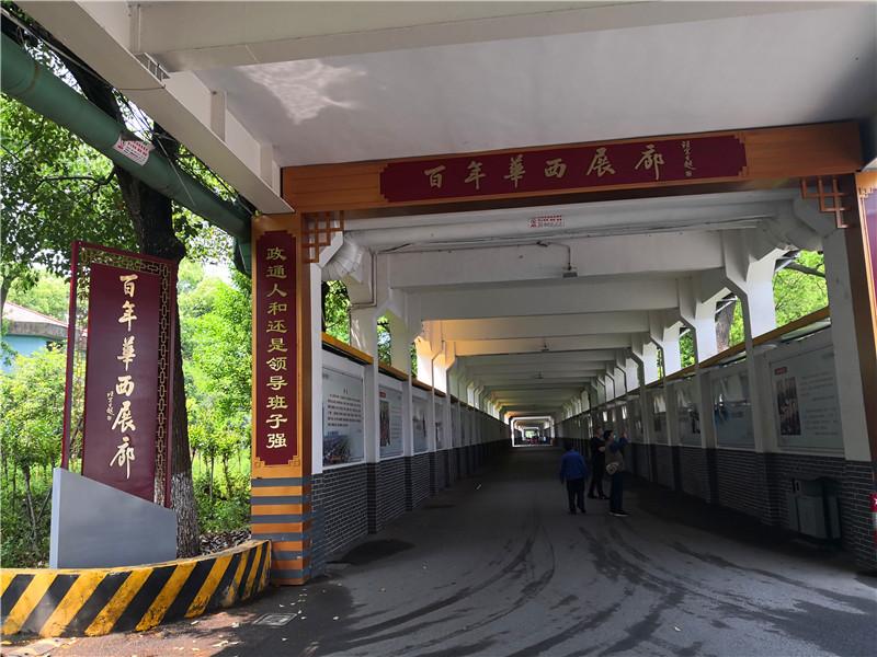 三顾茅庐与生肖之谜，揭秘最佳生肖的发现与落实